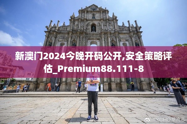 新澳门2024今晚开码公开,安全策略评估_Premium88.111-8
