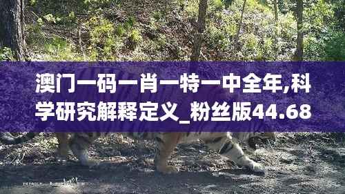 澳门一码一肖一特一中全年,科学研究解释定义_粉丝版44.686-3