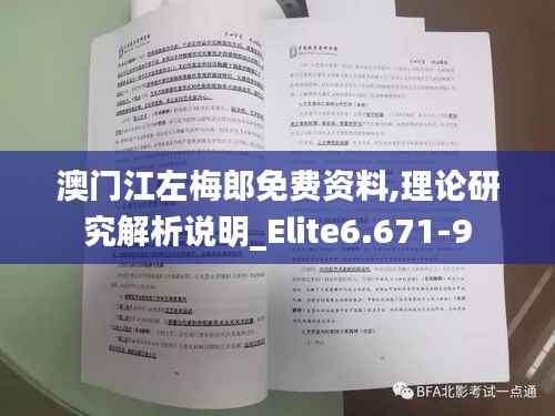 澳门江左梅郎免费资料,理论研究解析说明_Elite6.671-9