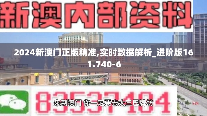 2024新澳门正版精准,实时数据解析_进阶版161.740-6