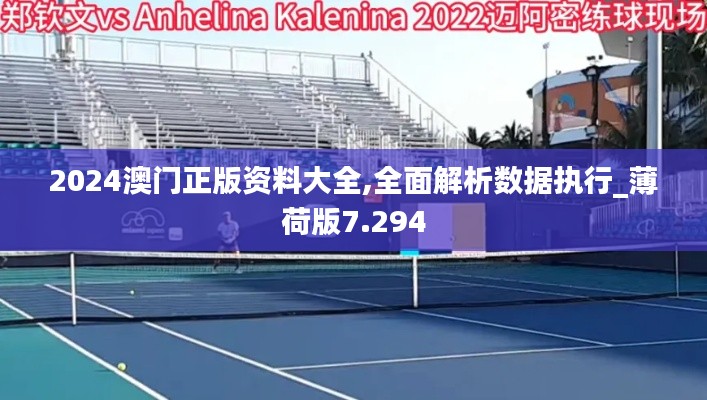 2024澳门正版资料大全,全面解析数据执行_薄荷版7.294