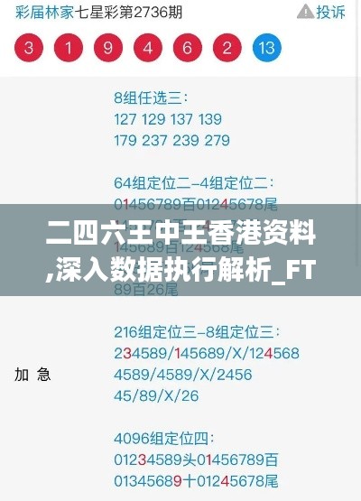 二四六王中王香港资料,深入数据执行解析_FT1.219