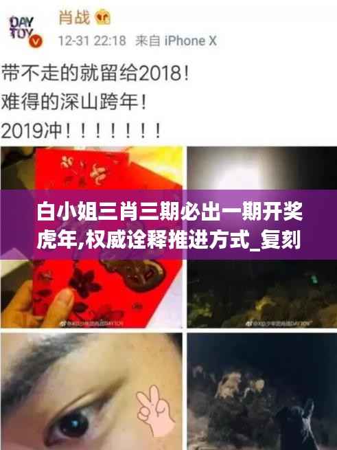 白小姐三肖三期必出一期开奖虎年,权威诠释推进方式_复刻版35.989-9