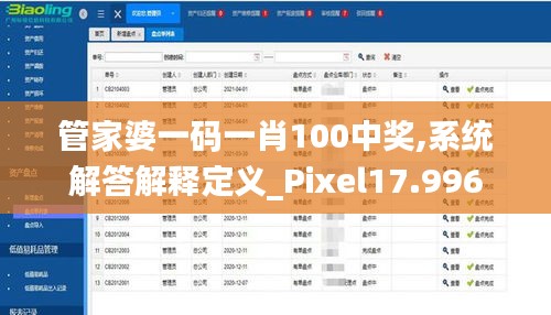 管家婆一码一肖100中奖,系统解答解释定义_Pixel17.996