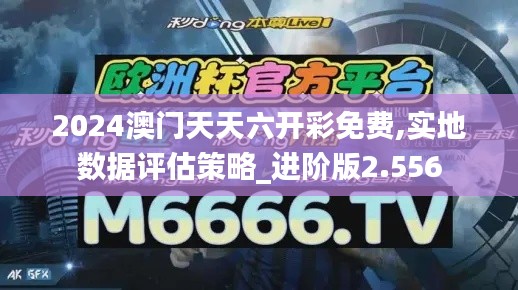 2024澳门天天六开彩免费,实地数据评估策略_进阶版2.556