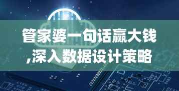 管家婆一句话赢大钱,深入数据设计策略_挑战款20.404-5