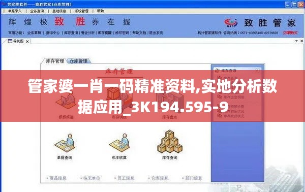 管家婆一肖一码精准资料,实地分析数据应用_3K194.595-9