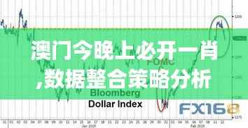 澳门今晚上必开一肖,数据整合策略分析_OP12.335-3