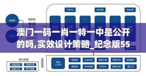 澳门一码一肖一特一中是公开的吗,实效设计策略_纪念版55.269-2