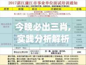 今晚必出三肖,实践分析解析说明_精装款32.996-2