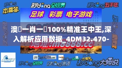 澳門一肖一碼100%精准王中王,深入解析应用数据_4DM32.470-7
