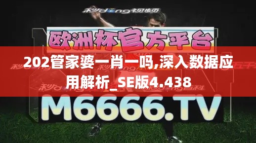 202管家婆一肖一吗,深入数据应用解析_SE版4.438