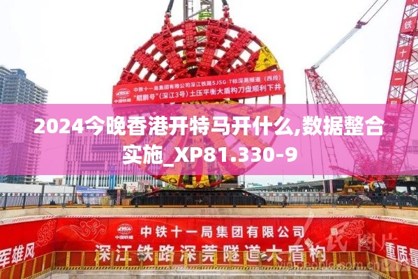 2024今晚香港开特马开什么,数据整合实施_XP81.330-9