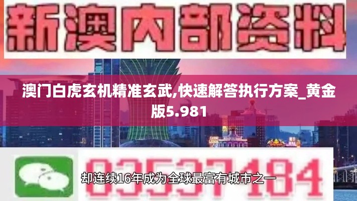 澳门白虎玄机精准玄武,快速解答执行方案_黄金版5.981