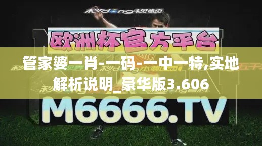 管家婆一肖-一码-一中一特,实地解析说明_豪华版3.606