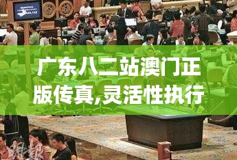 广东八二站澳门正版传真,灵活性执行计划_XP14.962-1