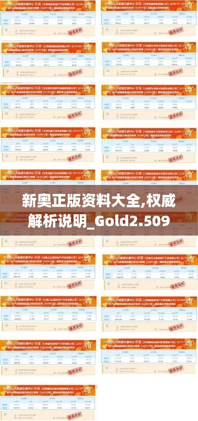 新奥正版资料大全,权威解析说明_Gold2.509-6
