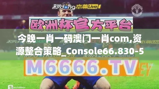 今晚一肖一码澳门一肖com,资源整合策略_Console66.830-5