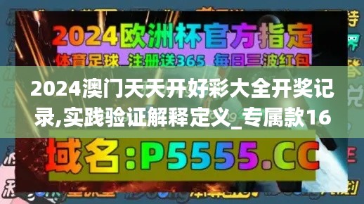 2024澳门天天开好彩大全开奖记录,实践验证解释定义_专属款160.897-1