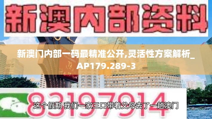 新澳门内部一码最精准公开,灵活性方案解析_AP179.289-3
