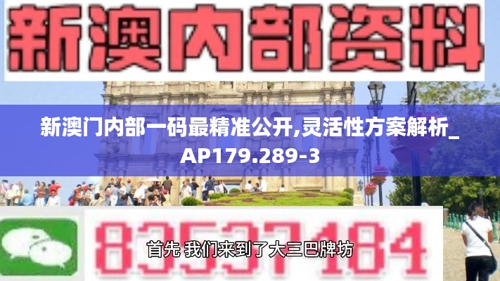 新澳门内部一码最精准公开,灵活性方案解析_AP179.289-3
