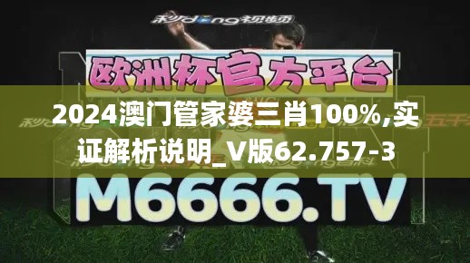 2024澳门管家婆三肖100%,实证解析说明_V版62.757-3