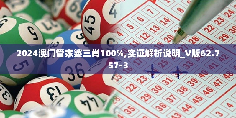 2024澳门管家婆三肖100%,实证解析说明_V版62.757-3