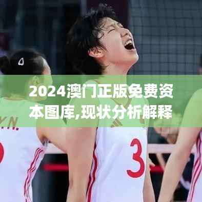 2024澳门正版免费资本图库,现状分析解释定义_网页款60.795-4