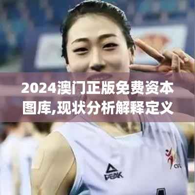 2024澳门正版免费资本图库,现状分析解释定义_网页款60.795-4