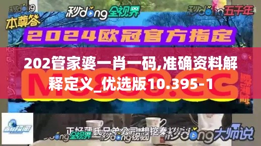 202管家婆一肖一码,准确资料解释定义_优选版10.395-1