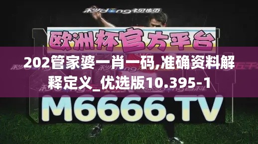 202管家婆一肖一码,准确资料解释定义_优选版10.395-1