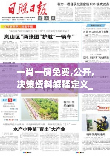 一肖一码免费,公开,决策资料解释定义_专属款1.578