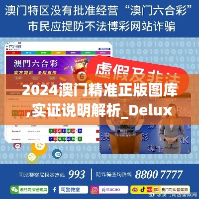 2024澳门精准正版图库,实证说明解析_Deluxe19.417-2