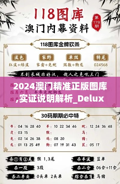 2024澳门精准正版图库,实证说明解析_Deluxe19.417-2