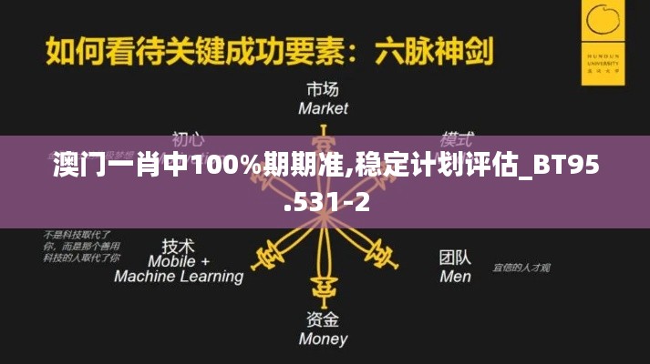 澳门一肖中100%期期准,稳定计划评估_BT95.531-2