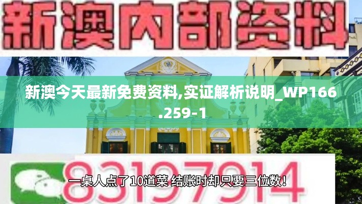 新澳今天最新免费资料,实证解析说明_WP166.259-1