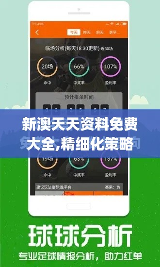 新澳天天资料免费大全,精细化策略定义探讨_VIP31.312-5