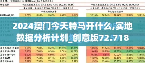 2024澳门今天特马开什么,实地数据分析计划_创意版72.718-2