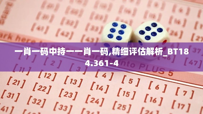 一肖一码中持一一肖一码,精细评估解析_BT184.361-4