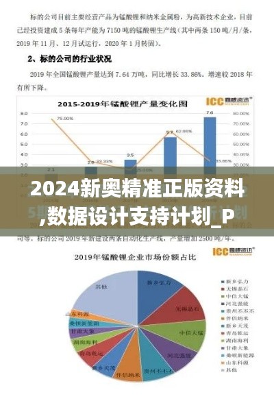 2024新奥精准正版资料,数据设计支持计划_Pixel3.516