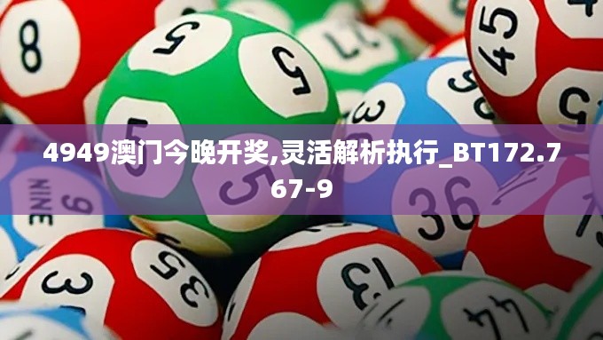 4949澳门今晚开奖,灵活解析执行_BT172.767-9