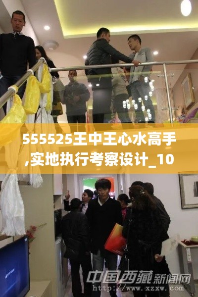 555525王中王心水高手,实地执行考察设计_10DM96.308-7
