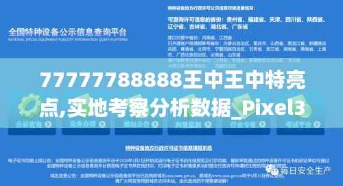 77777788888王中王中特亮点,实地考察分析数据_Pixel34.738-6