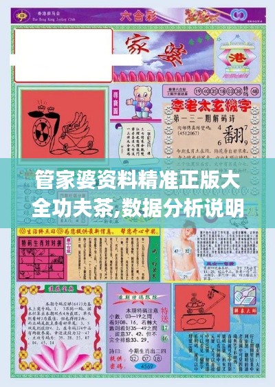 管家婆资料精准正版大全功夫茶,数据分析说明_限量款7.413