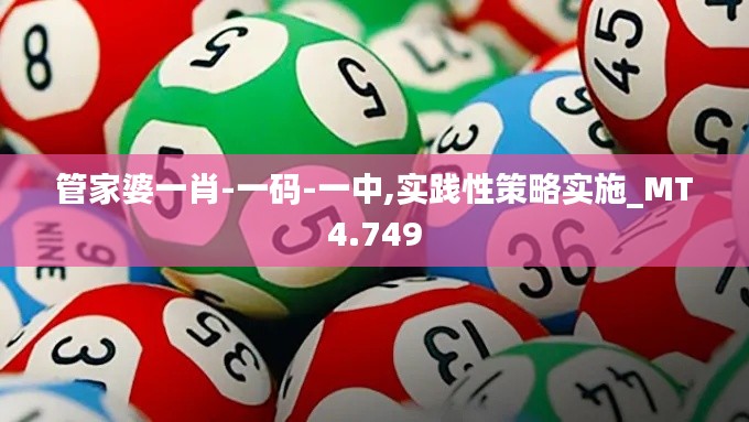 管家婆一肖-一码-一中,实践性策略实施_MT4.749