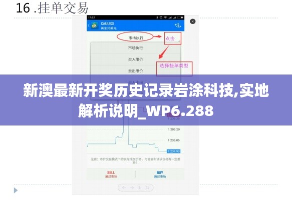 新澳最新开奖历史记录岩涂科技,实地解析说明_WP6.288