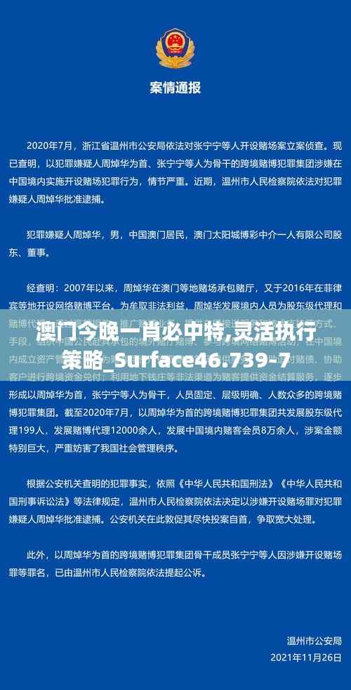 澳门今晚一肖必中特,灵活执行策略_Surface46.739-7