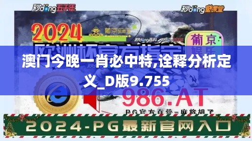 澳门今晚一肖必中特,诠释分析定义_D版9.755