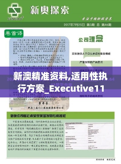 新澳精准资料,适用性执行方案_Executive111.720-1