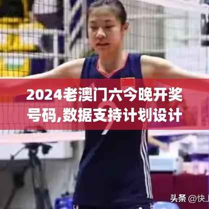 2024老澳门六今晚开奖号码,数据支持计划设计_工具版65.764-3